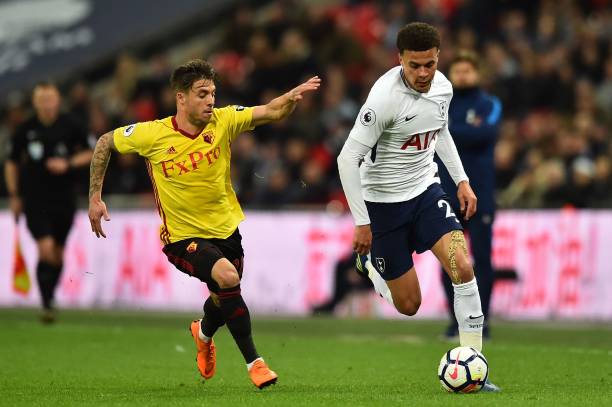 柏太阳神展 柏太阳神展